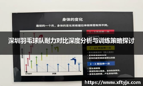 深圳羽毛球队耐力对比深度分析与训练策略探讨