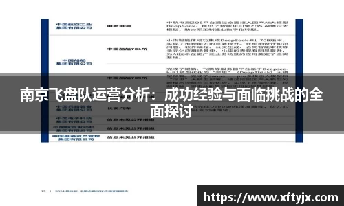 南京飞盘队运营分析：成功经验与面临挑战的全面探讨
